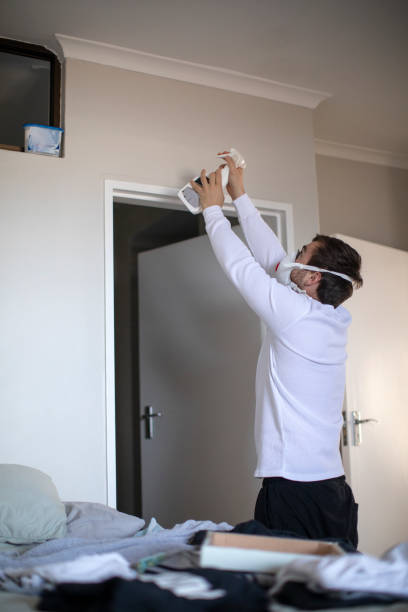 Best Basement Mold Removal  in Haledon, NJ