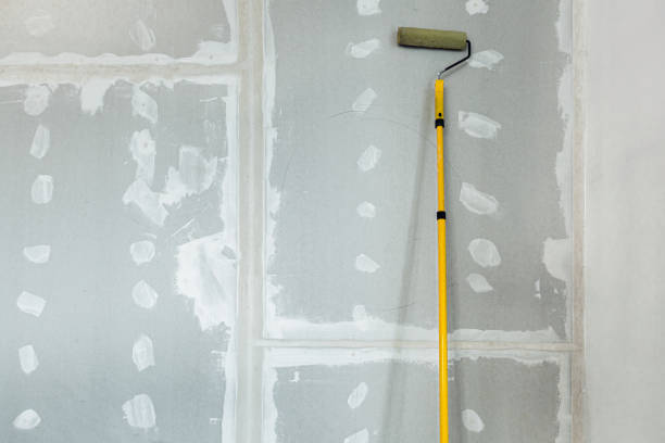 Best Crawl Space Mold Remediation  in Haledon, NJ