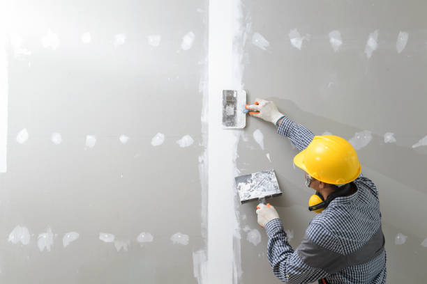 Best Mold Damage Restoration  in Haledon, NJ