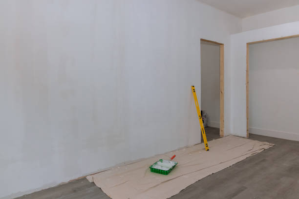 Best Basement Mold Removal  in Haledon, NJ