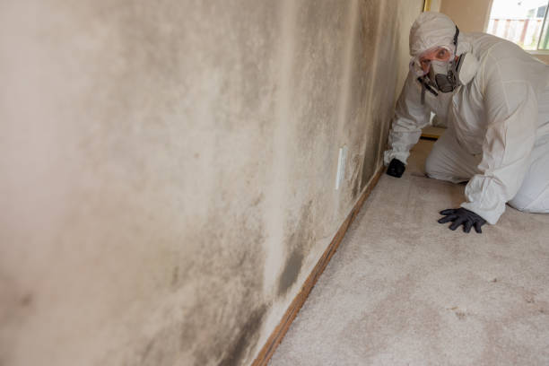 Best Commercial Mold Inspection  in Haledon, NJ
