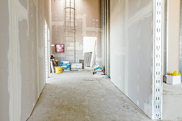 Biohazard Mold Removal in Haledon, NJ