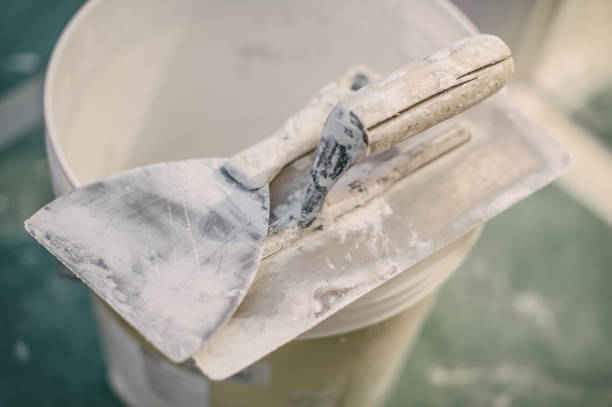 Best Mold-Related Health Consultation  in Haledon, NJ
