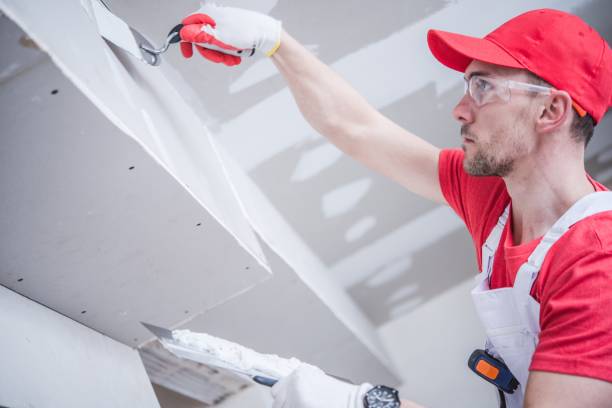 Trusted Haledon, NJ Mold Removal Experts